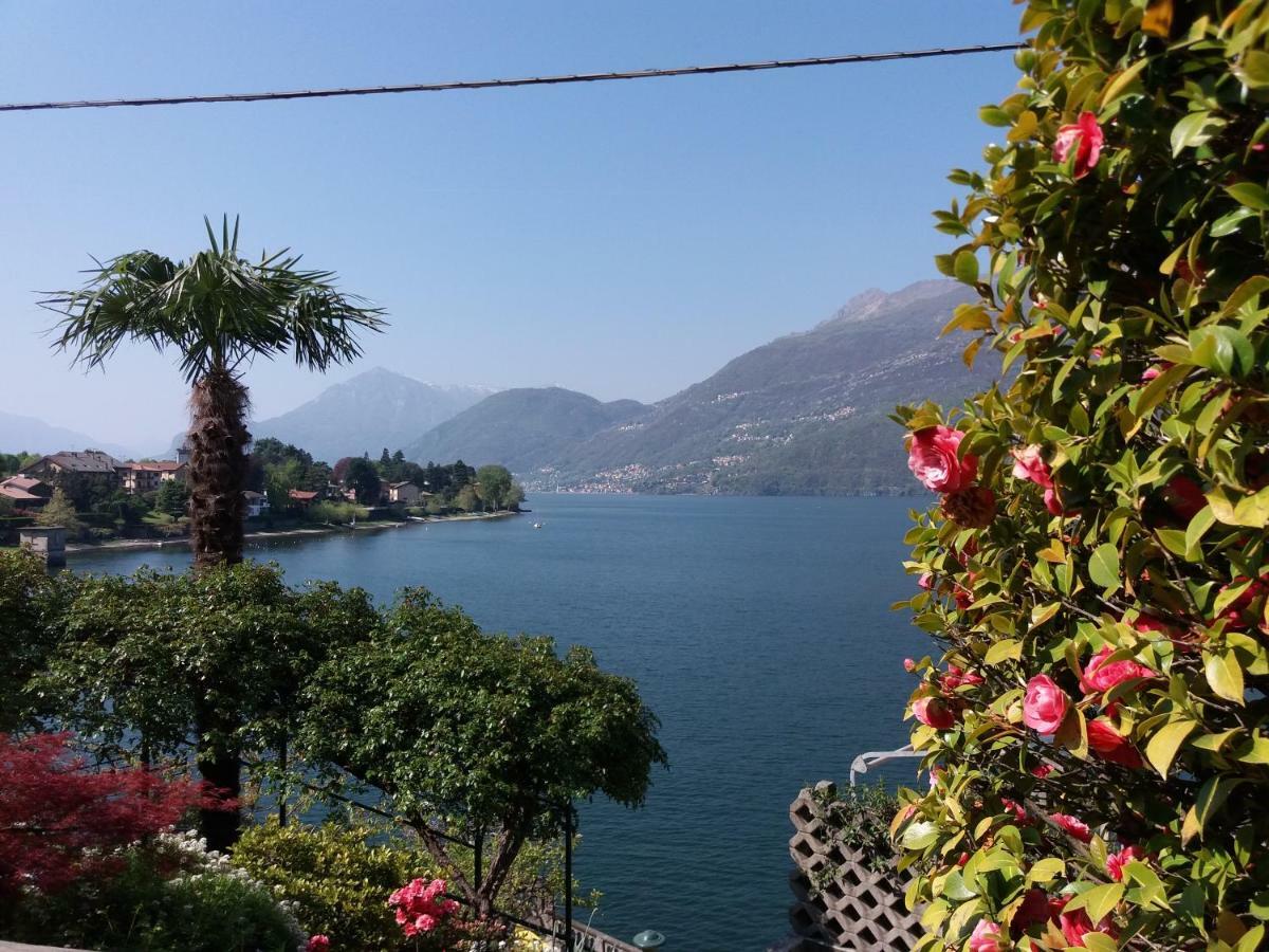Villa Plinio Lago Di Como ديرفيو المظهر الخارجي الصورة
